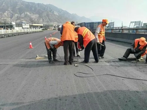 招远道路桥梁病害治理